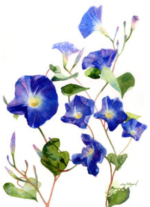 ArtWalk September 2025 Elly Hobgood