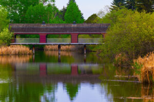 ArtWalk September 2025 Gord Stefaniuk