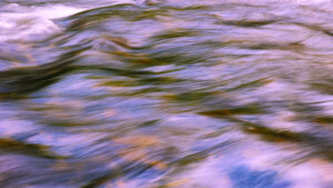 ArtWalk September 2025 Gord Stefaniuk