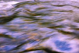 ArtWalk September 2025 Gord Stefaniuk